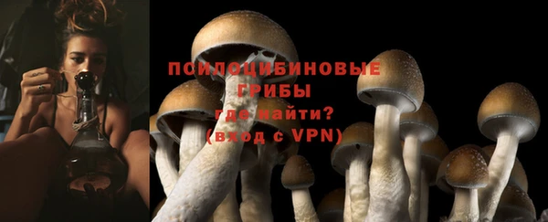 a pvp Алексин