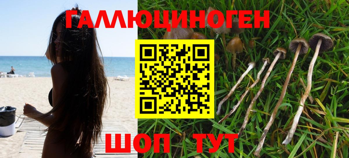 Карабулак  Псилоцибиновые грибы мицелий  Вход с VPN  Псилоцибиновые грибы Magic Shrooms 